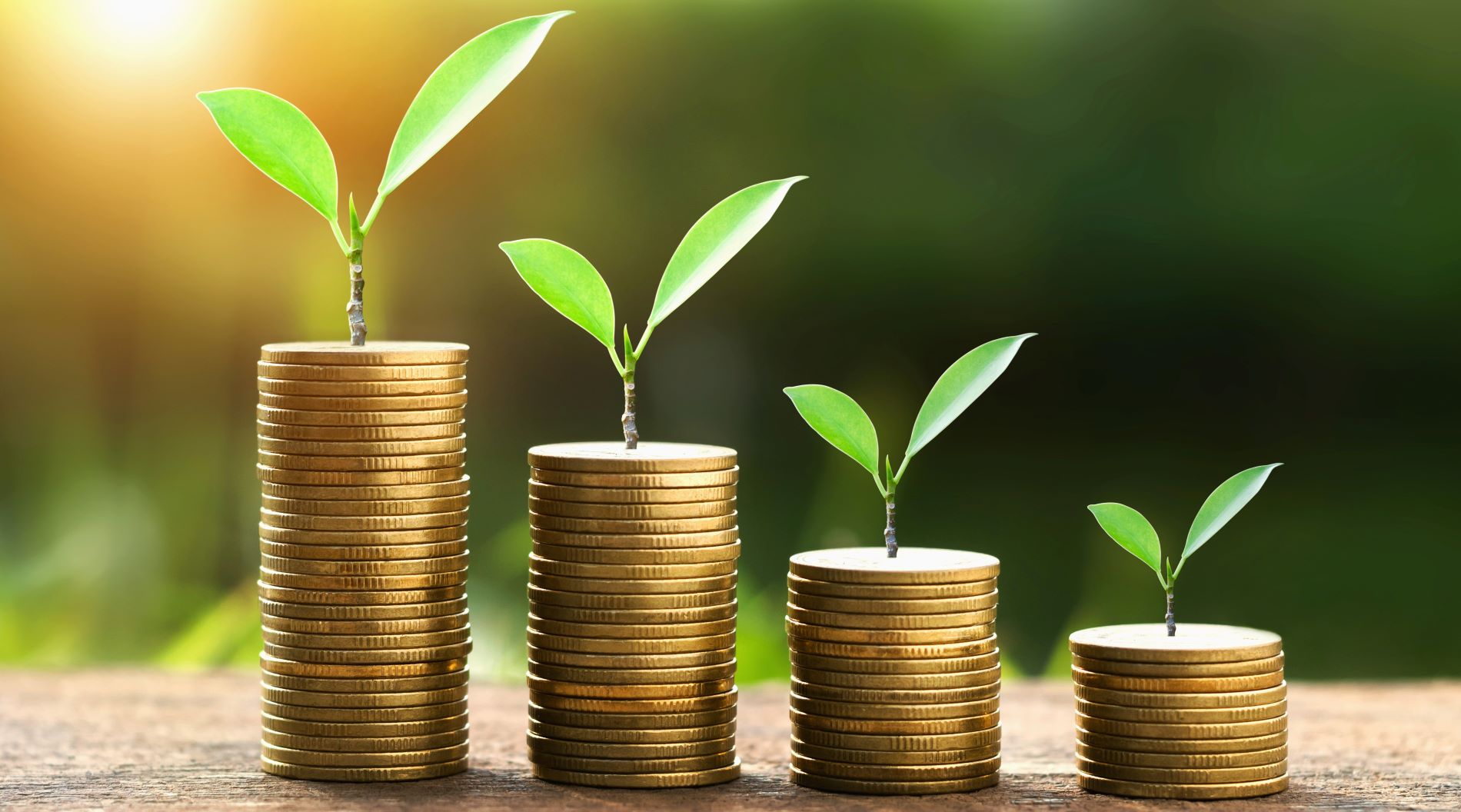 Certificates of Deposit High Yield Investments CFCU